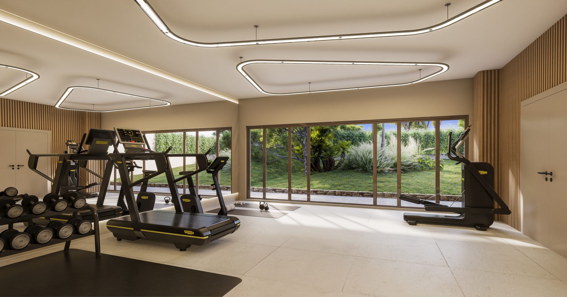 Gimnasio